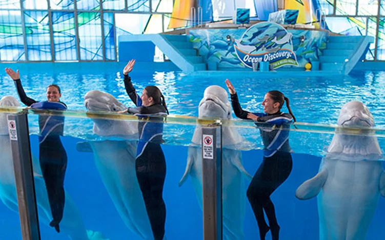 Sindhudurg-Sea-World-Project